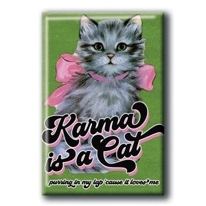 Karma is a Cat Magnet